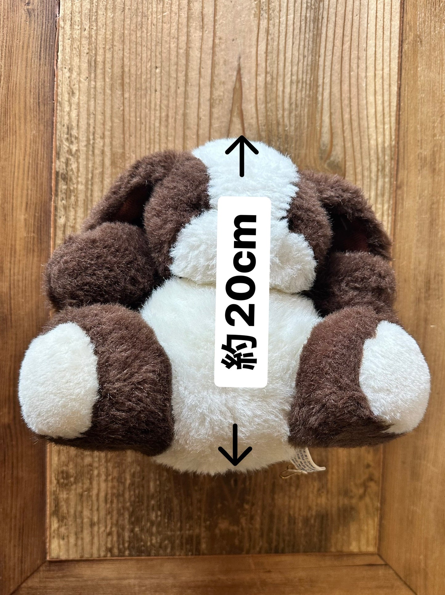 cute dog stuffed animal